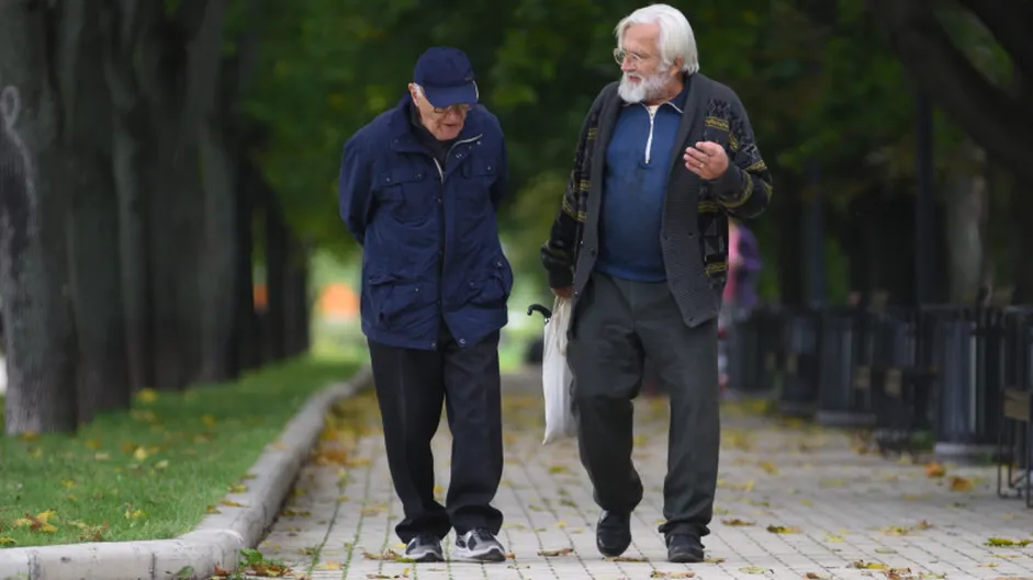 Фото: Фотобанк Московской области/ Александр Кожохин