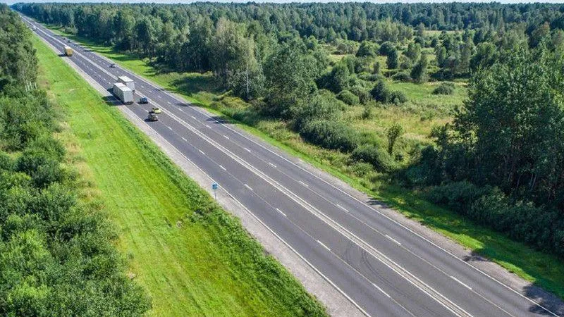 В Подмосковье выполнили план на этот год по очистке леса вдоль дорог