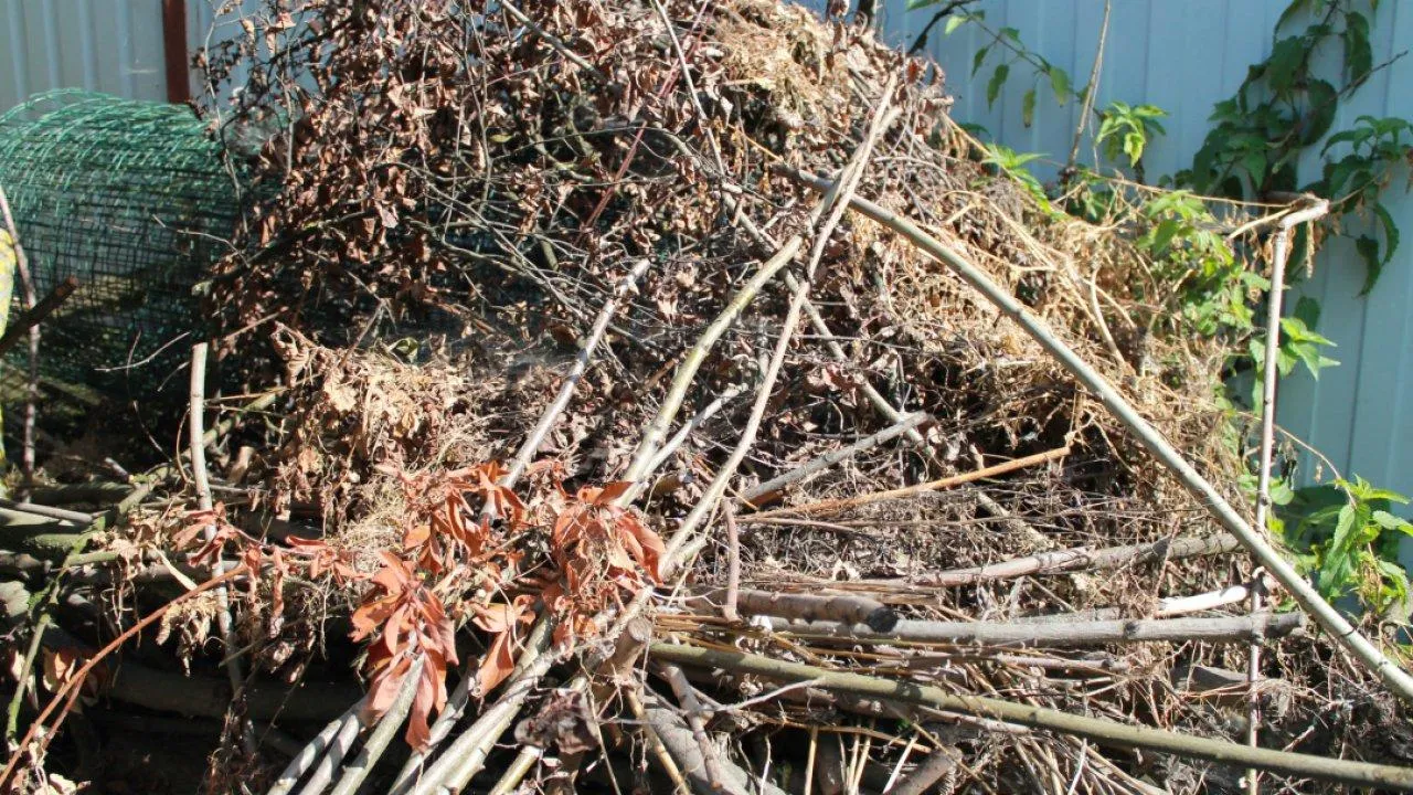 REGIONS/Илья Попов