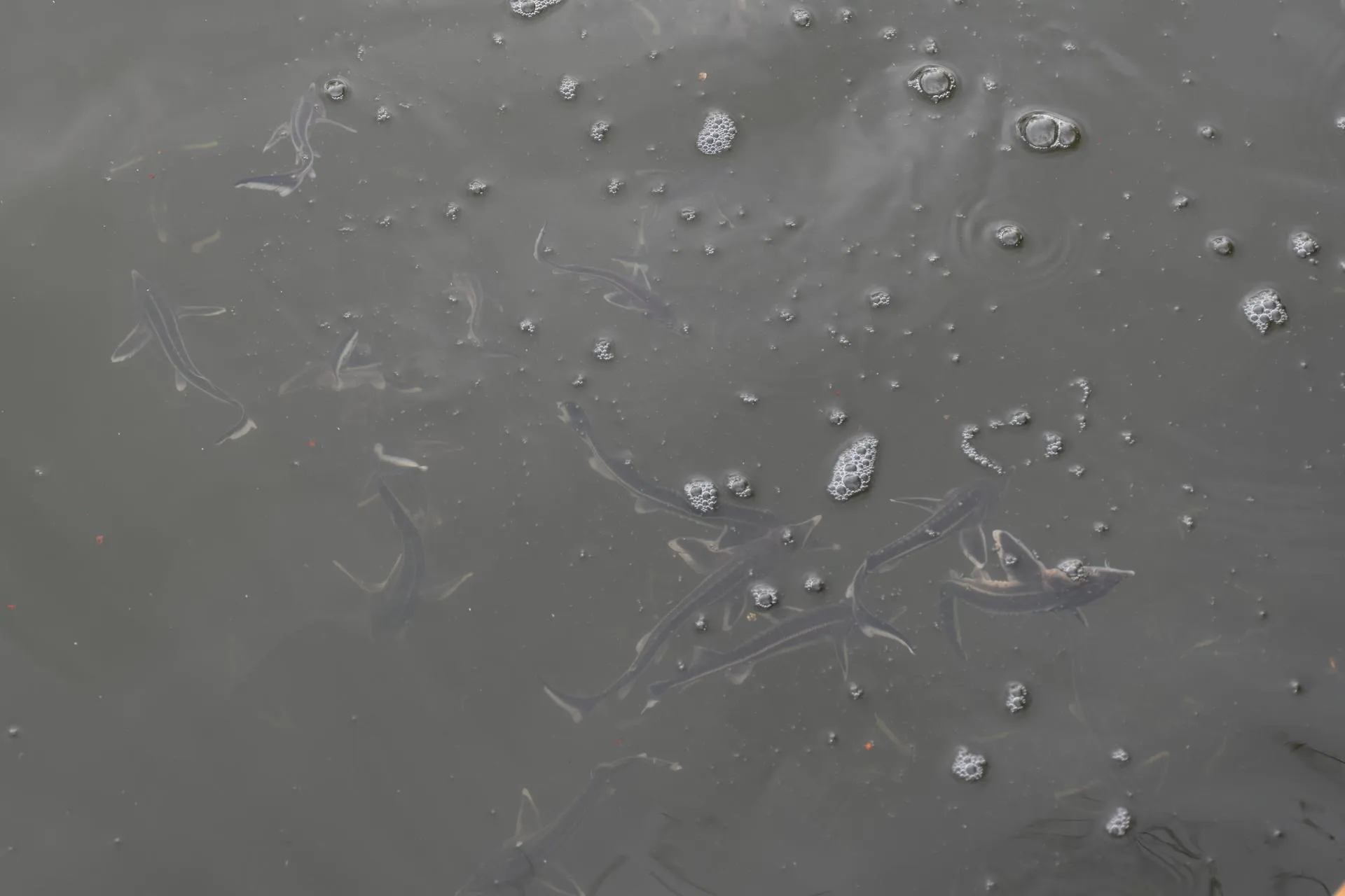 Фото: Евгений Мазепов