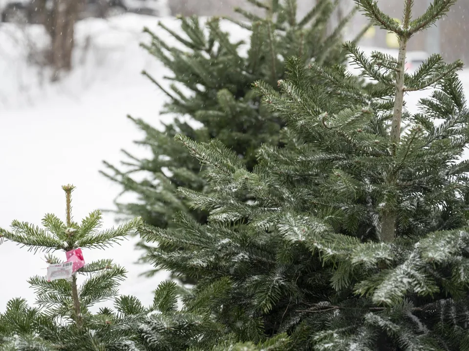 Фото: администрация Ленинского г.о.