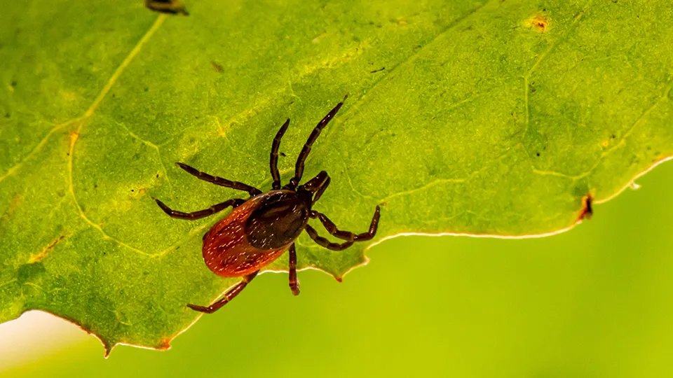 Фото: unsplash.com