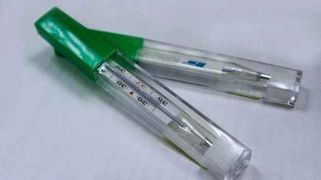 Жительница Екатеринбурга требует наказать школу за то, что ее сыну измерили температуру