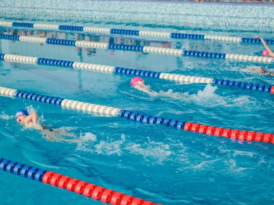 Фото: vk.com/спорткомплекс Shark г.о. Чехов