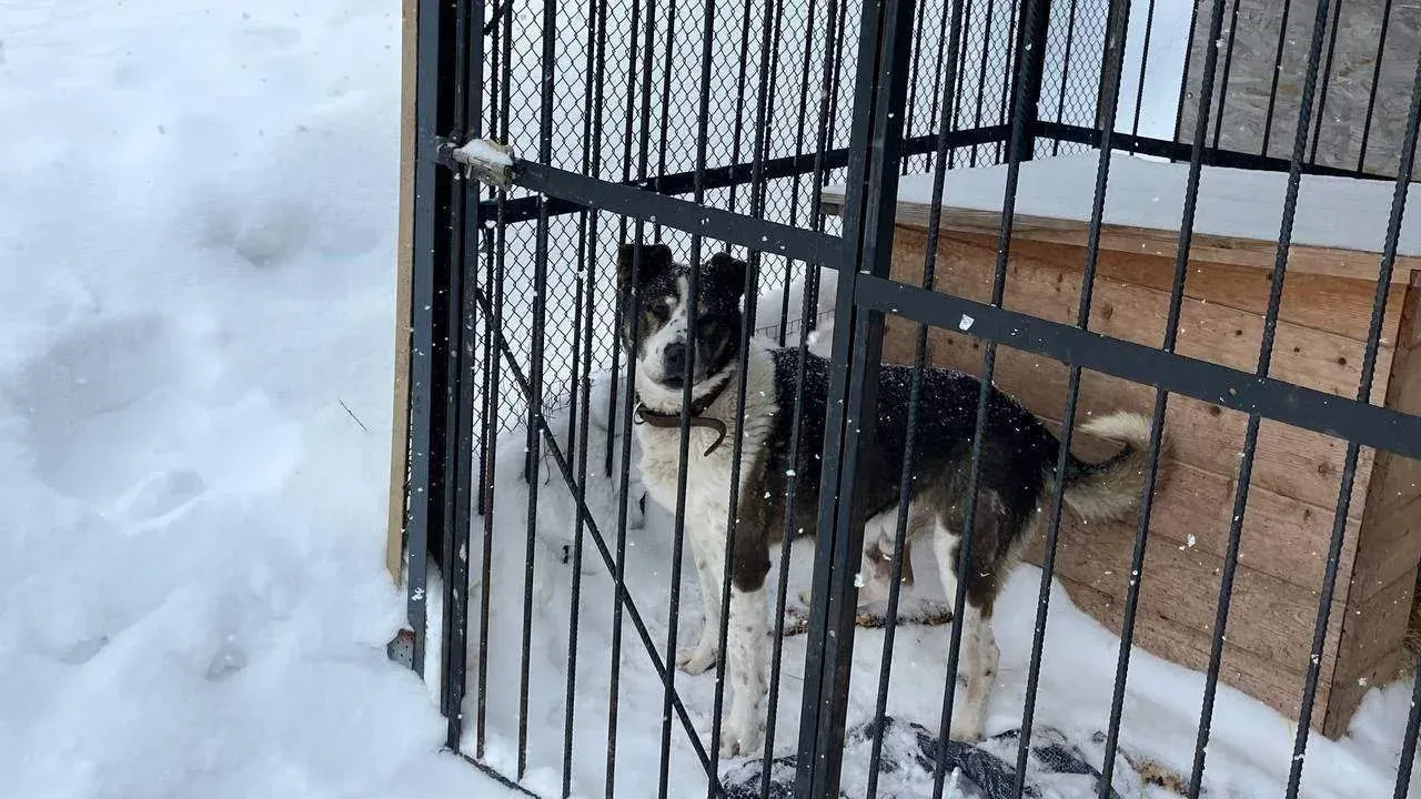 пресс-служба администрации г.о. Серпухов