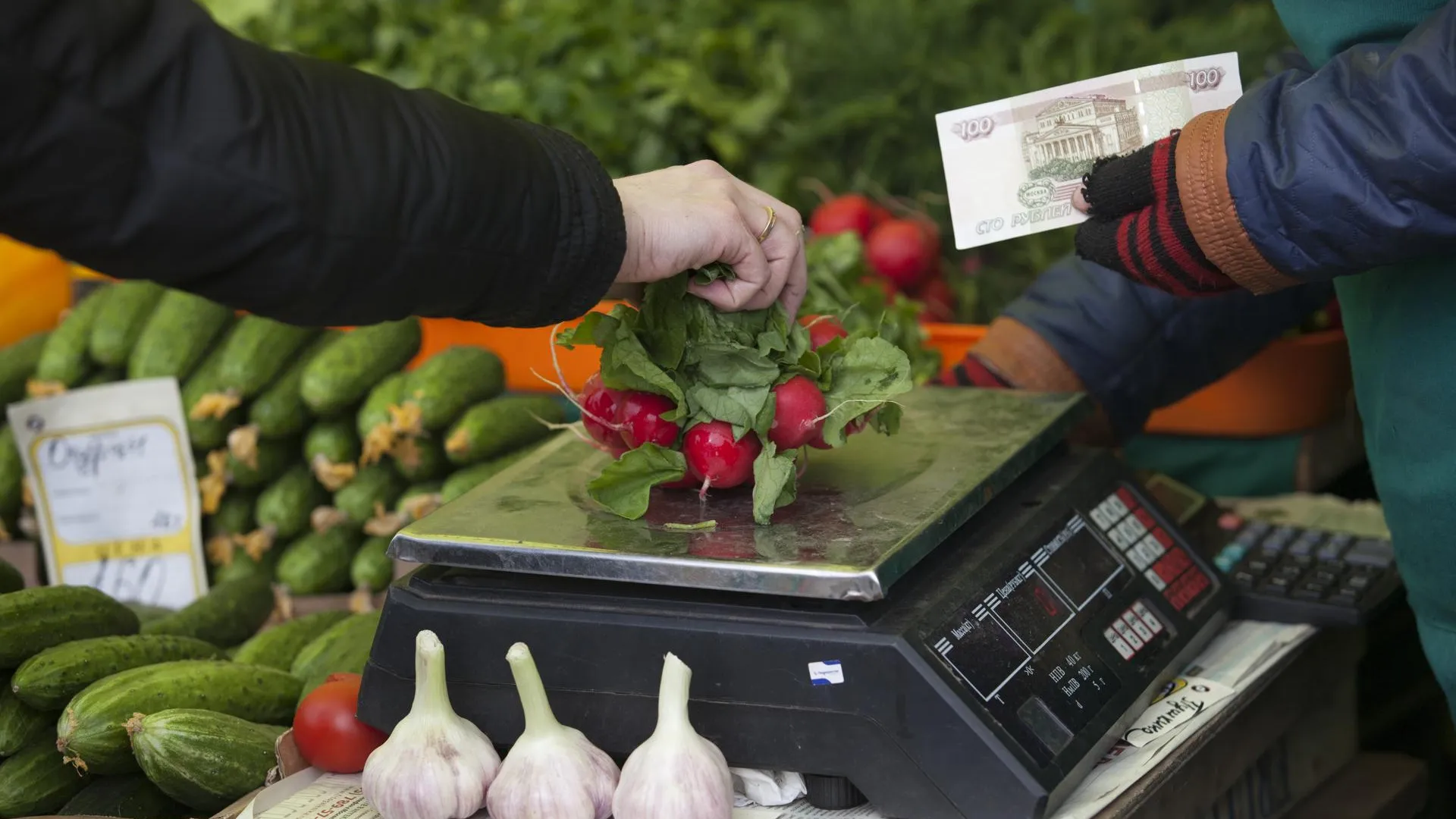 медиасток.рф