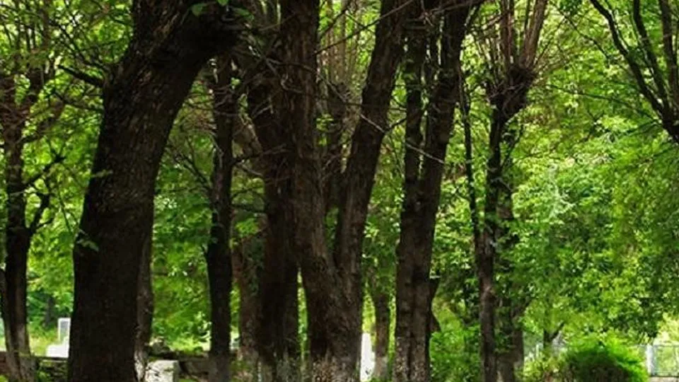 Фото: Министерство экологии и природопользования Московской области