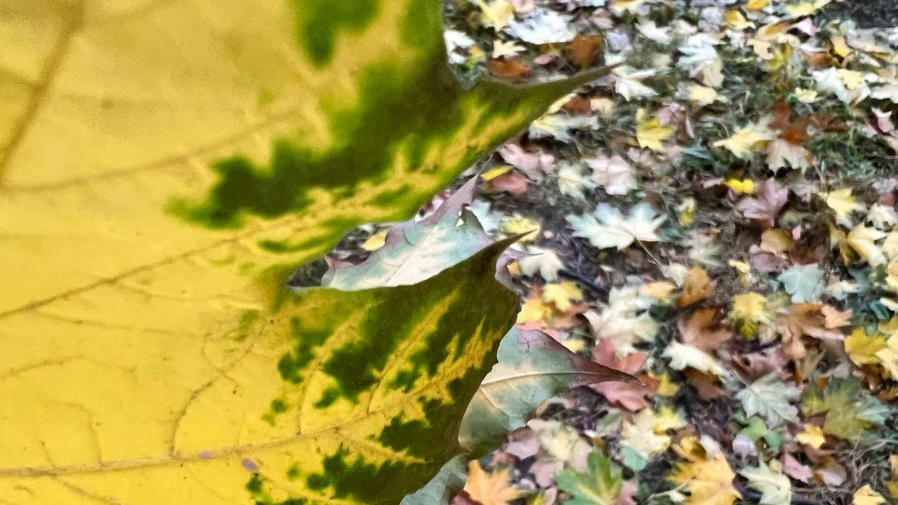 Фото: REGIONS/Елена Фурман