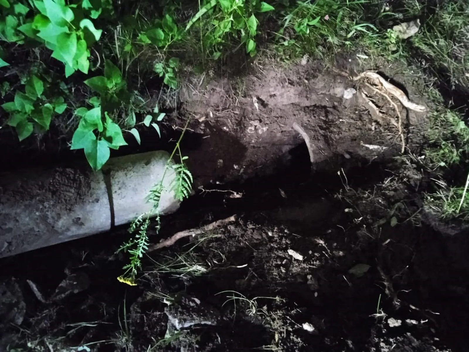 Фото: ГКУ МО «Мособлпожспас»