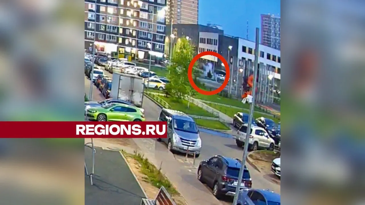 Фото: t.me/zaxbal