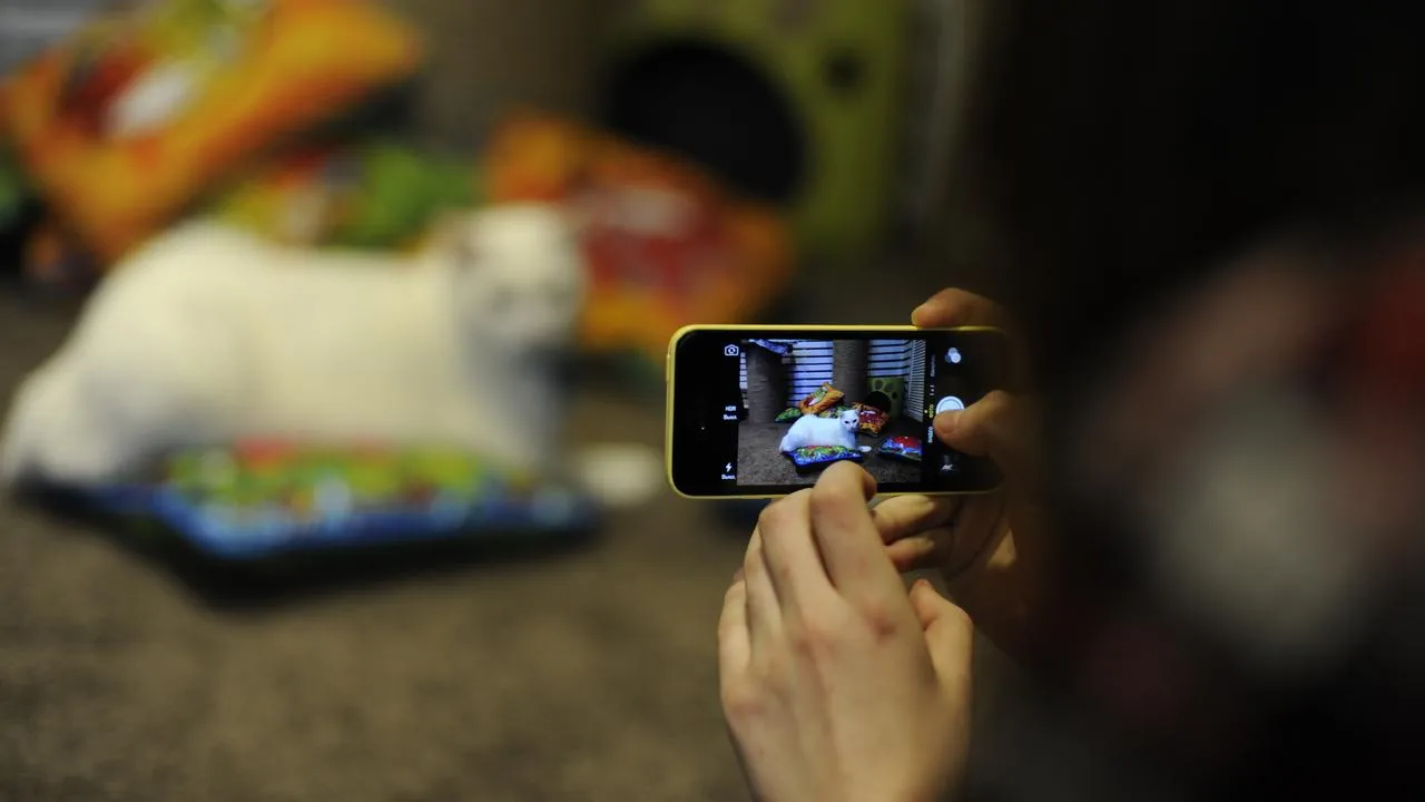 медиасток.рф