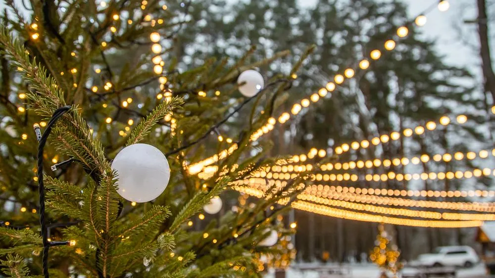Одинцовский парк культуры, спорта и отдыха
