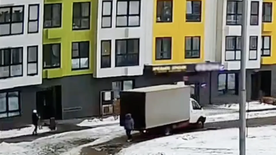 Фото: пресс-служба ГУ МВД России по Московской области