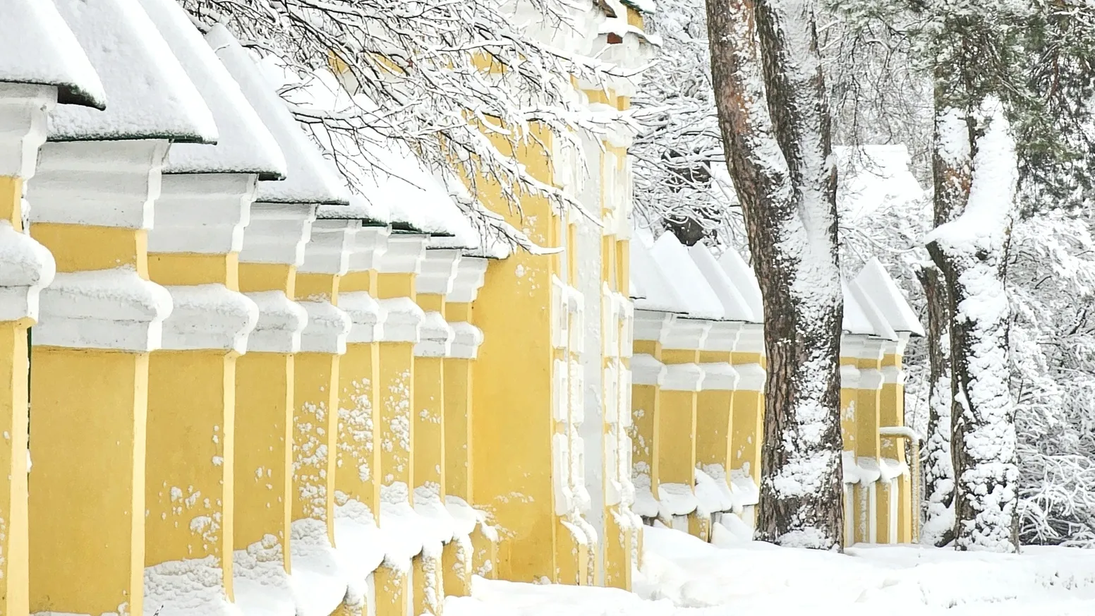 Фото: Роман Кириллов