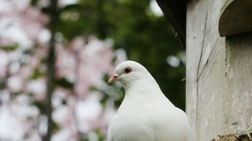 Фото: freepik.com