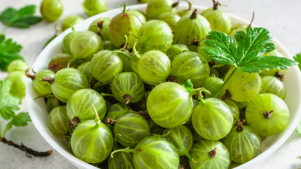 Фото: istockphoto.com