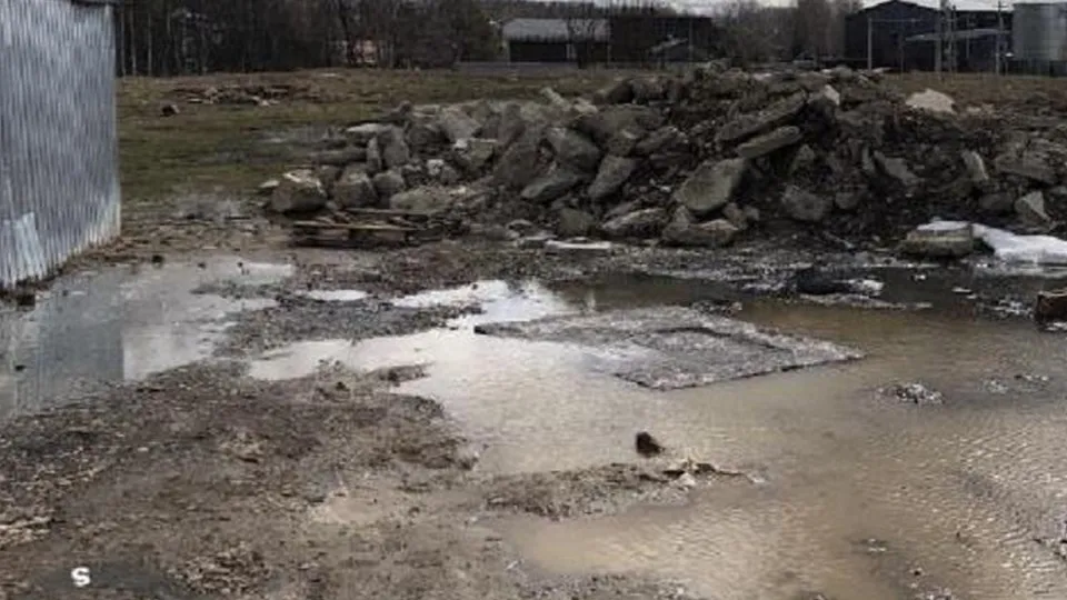 Фото: Министерство экологии и природопользования Московской области