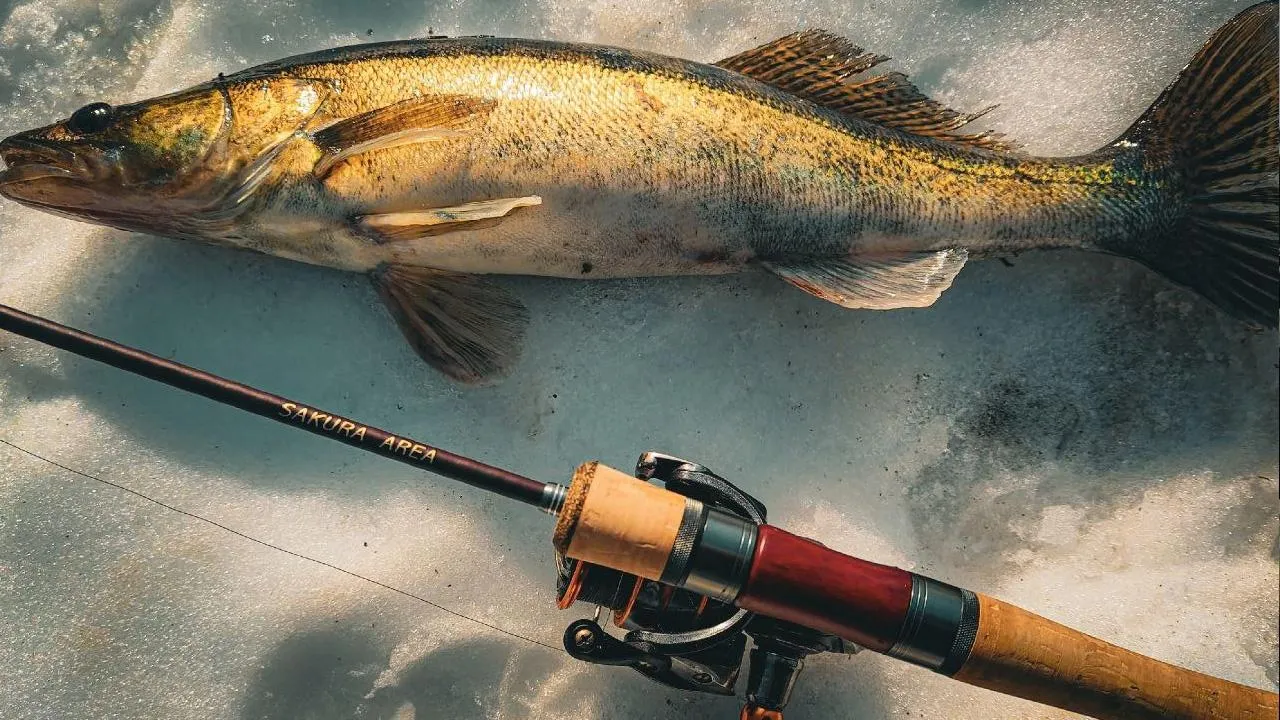 vk.com/Анастасия Бирюкова