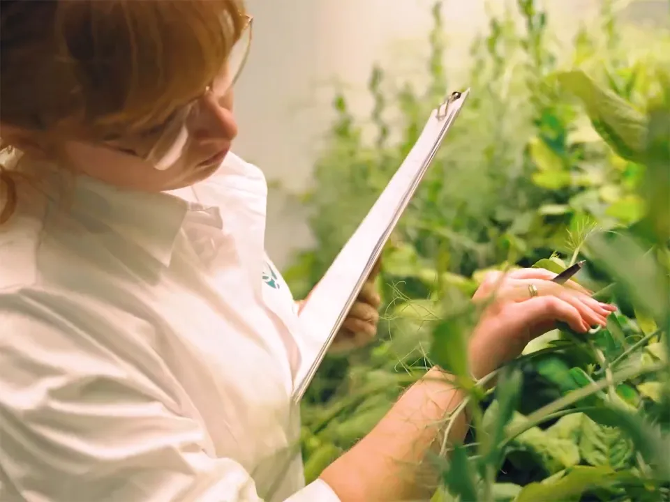 Фото: Компания «Щелково Агрохим»