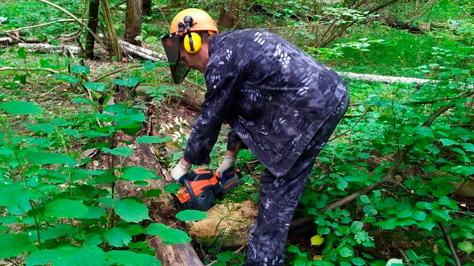 Фото: пресс-служба администрации м.о. Истра