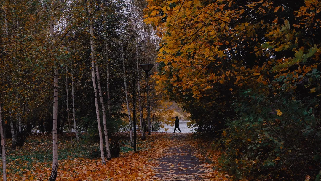 Фото: Парк культуры и отдыха г.о. Щелково