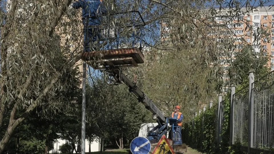 Фото: пресс-служба администрации г.о. Красногорск