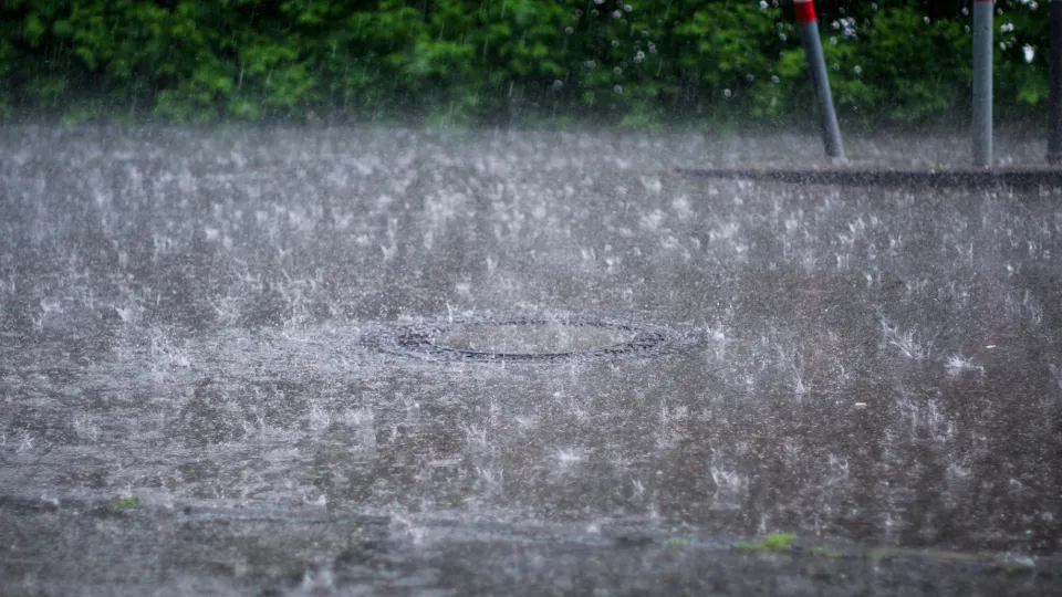 Фото: unsplash.com