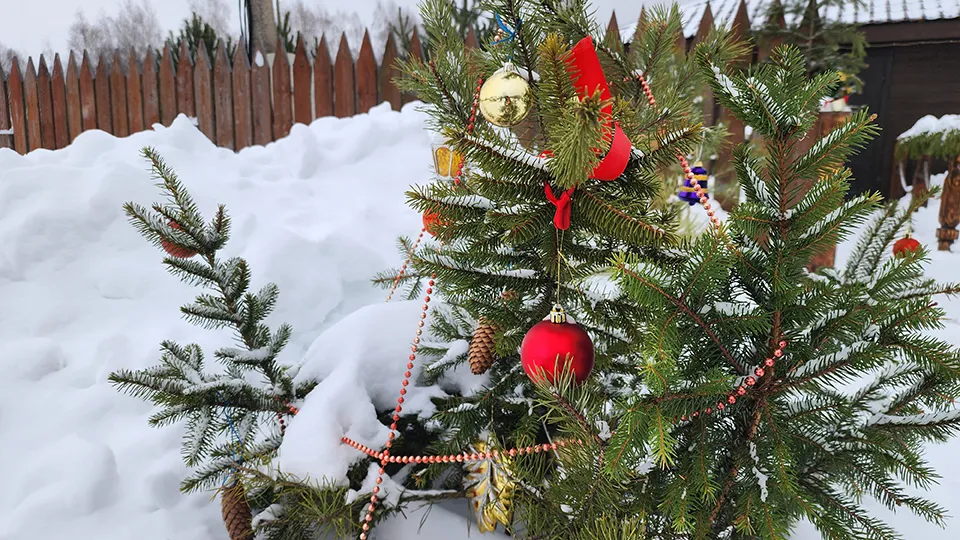 Фото: МедиаБанк Подмосковья/Ирина Матвеева