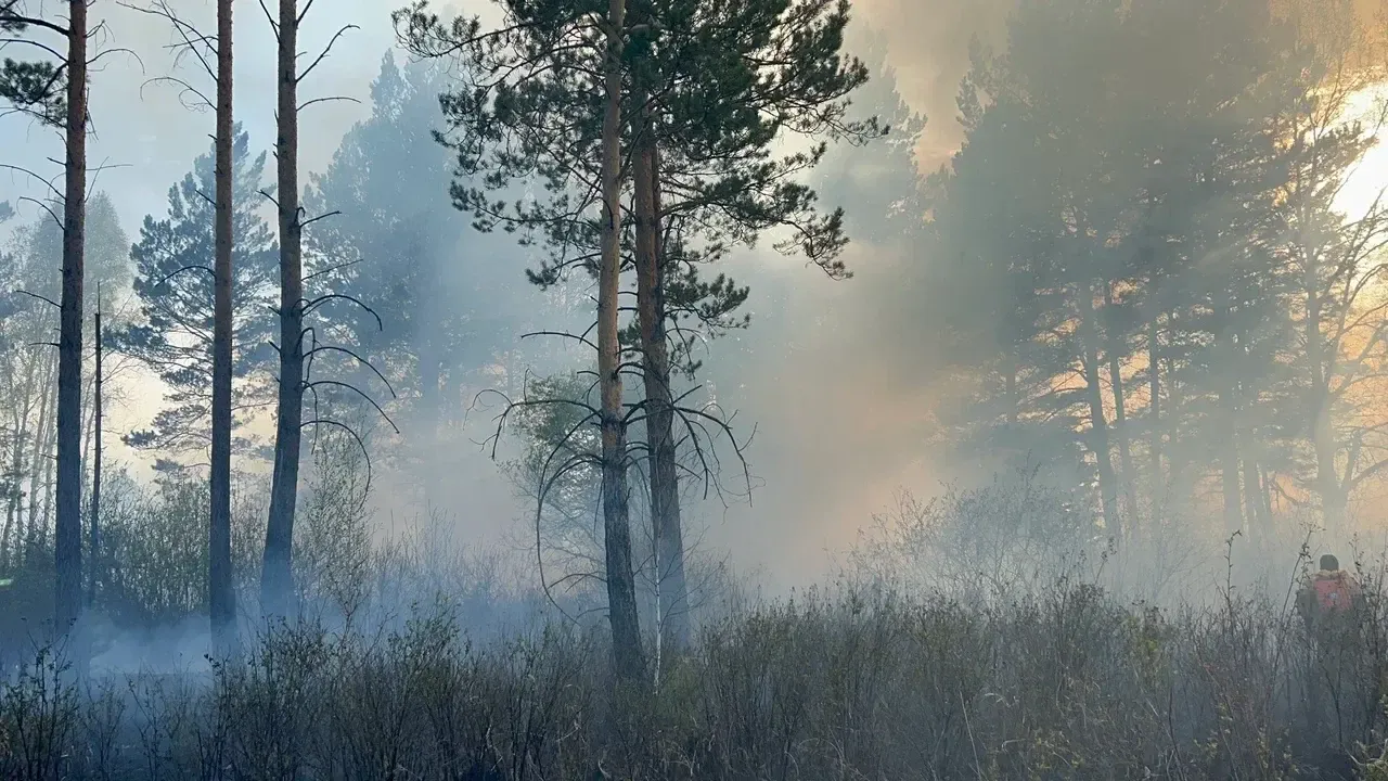 Народный фронт