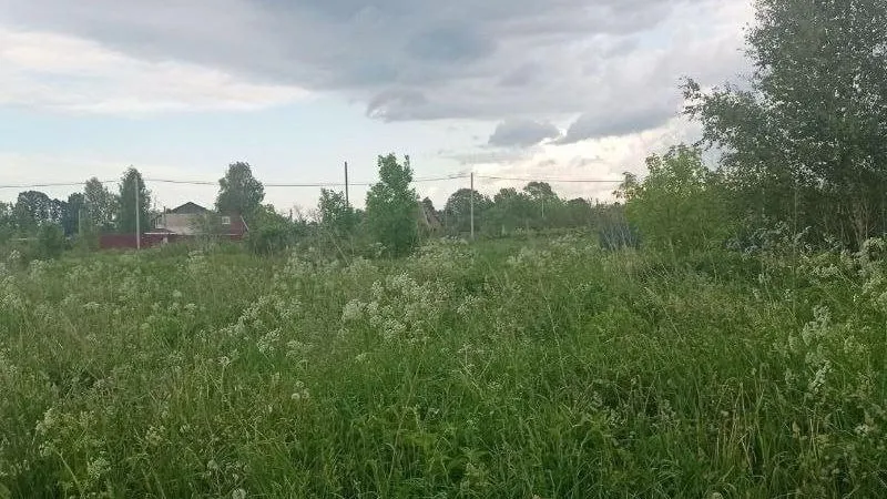 Фото: Комитет по конкурентной политике МО