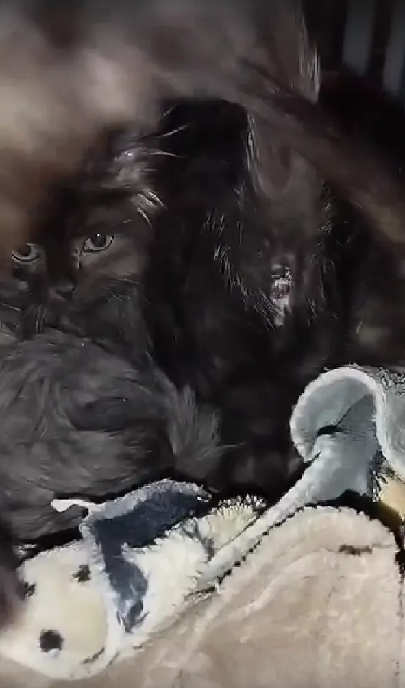 Фото: Подслушано на Глебовке (новая) / ВКонтакте