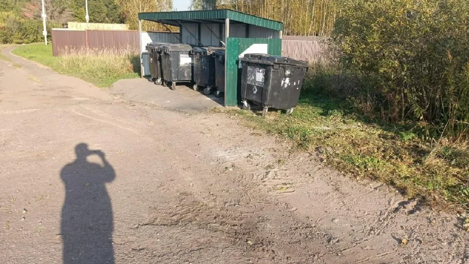 Фото: администрация г.о. Шаховская