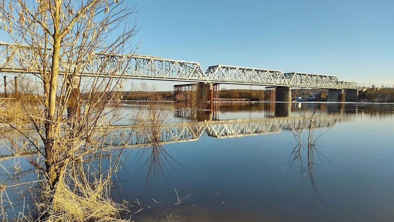 REGIONS/Алексей Селиверстов