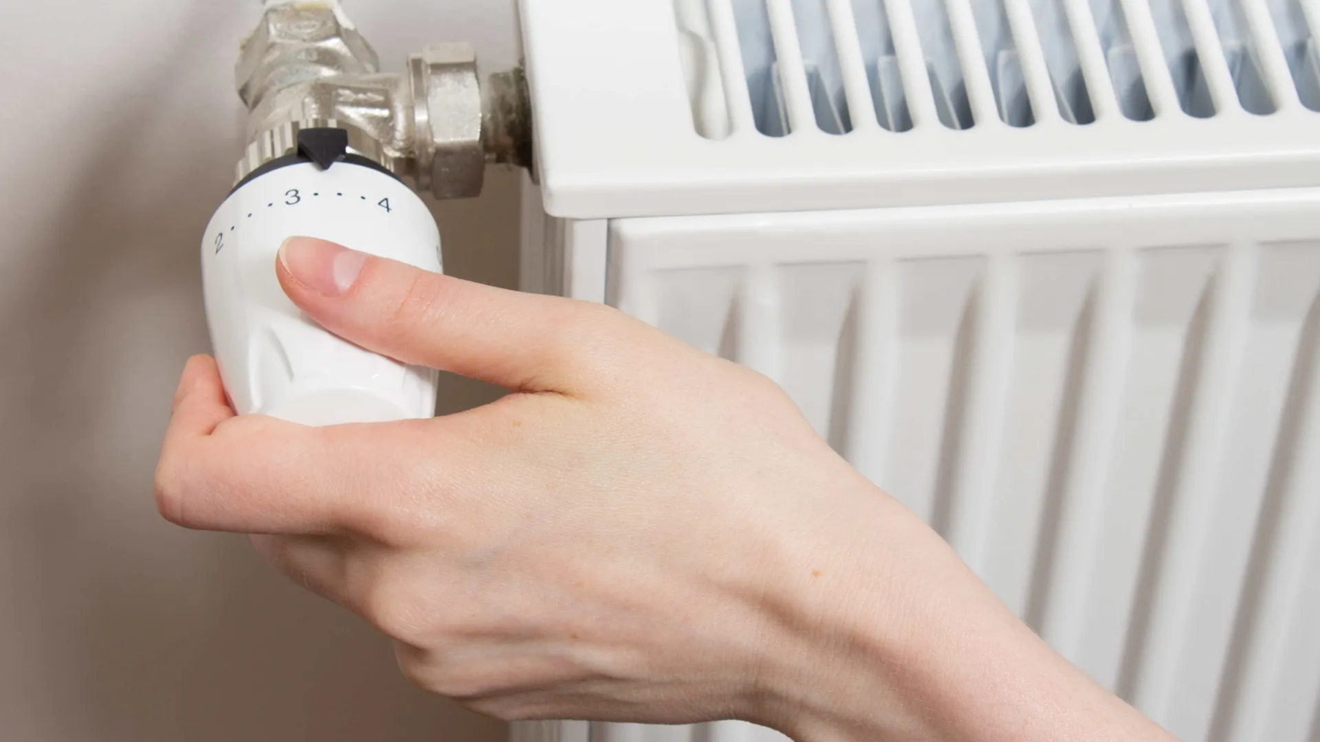 Фото: unsplash.com