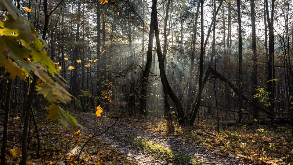Фото: Антон Кондратюк