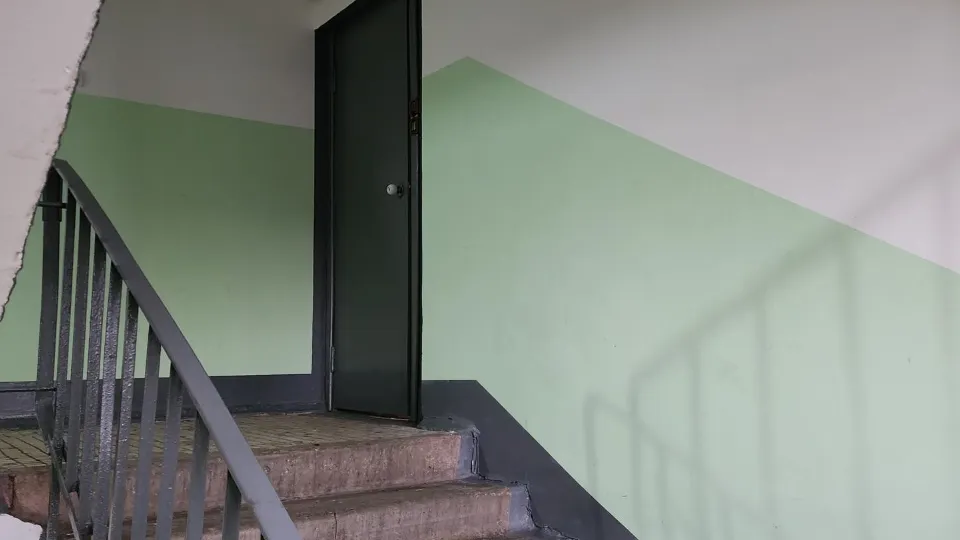 Фото: Раменский медиацентр