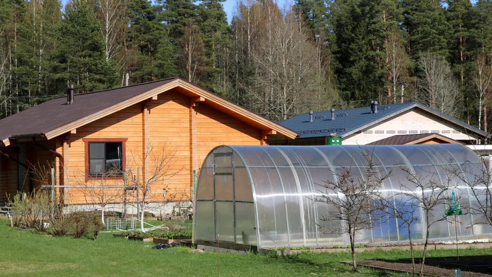 Фото: ТАСС/Максим Константинов