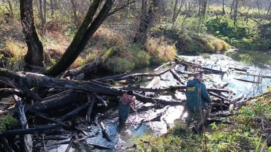 Фото: пресс-служба Администрации Можайского городского округа