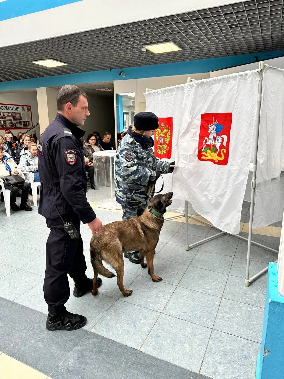 Фото: ОМВД России по Можайскому городскому округу&nbsp;