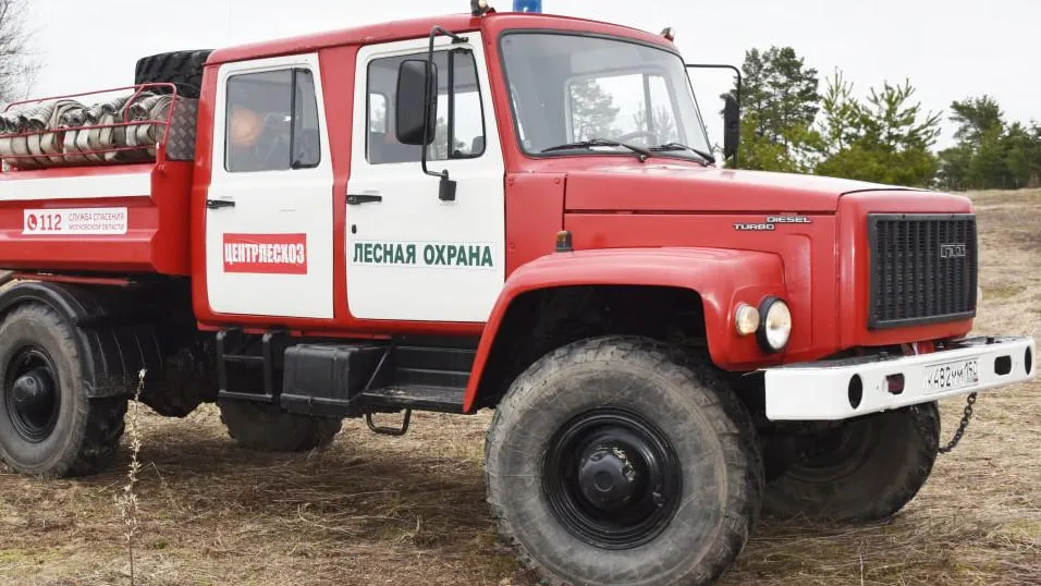 Фото: Оксана Бирюкова