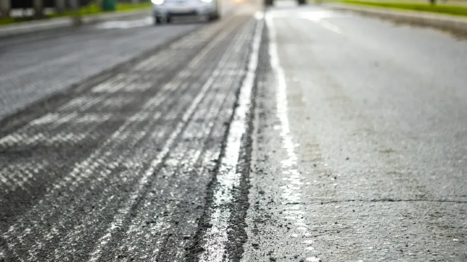 Фото: пресс-служба администрации г.о. Химки