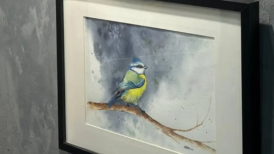 Фото: пресс-служба администрации г.о. Черноголовка