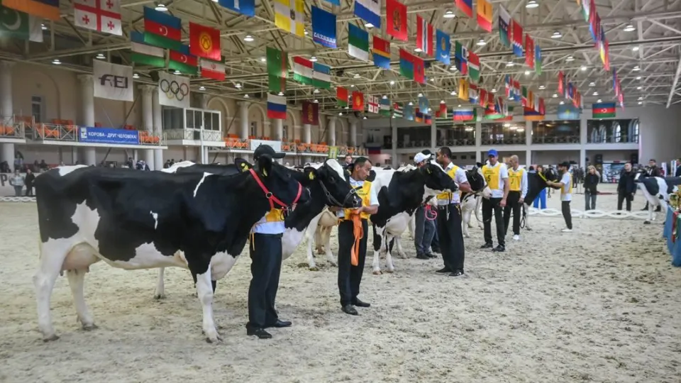 Фото: Администрация Ленинского г.о.