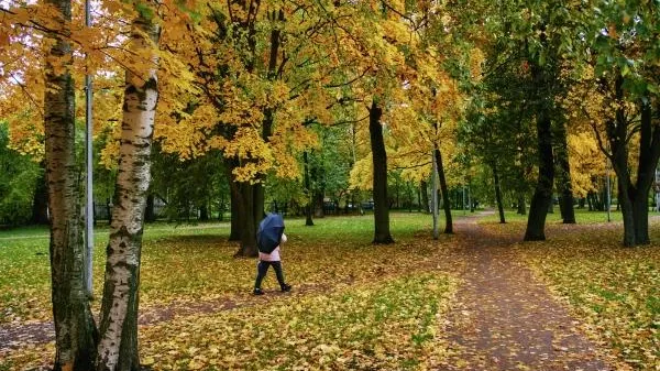 Алексей Даничев / РИА Новости