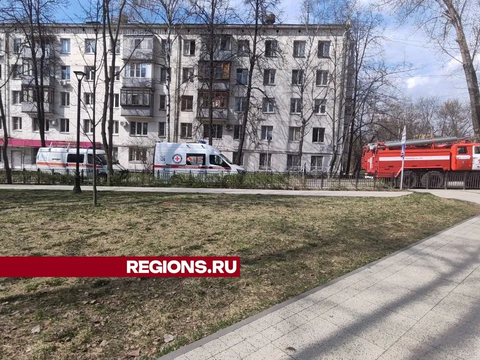Фото: Георгий Козлов