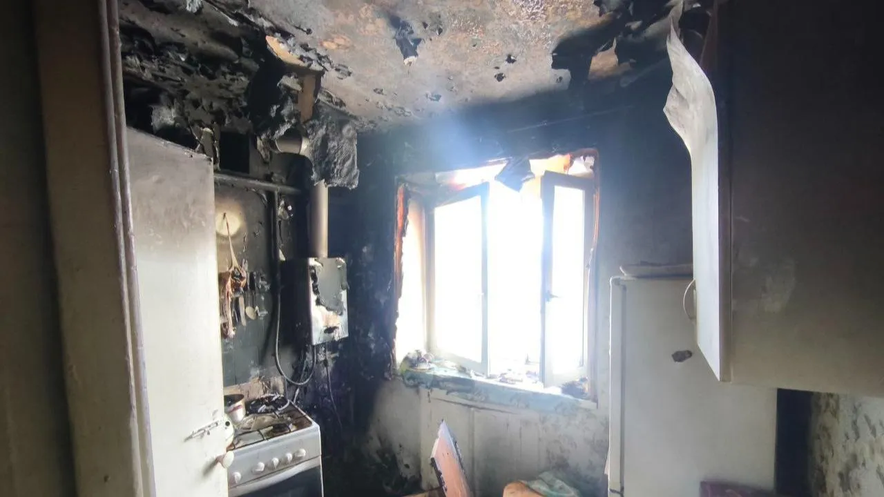 t.me/ogneborcy_podolska