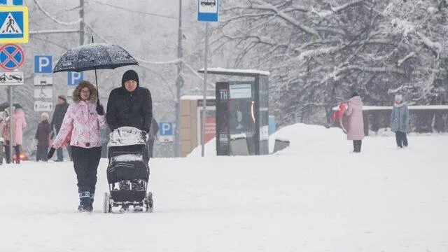 Фото: Москва 24, Игорь Иванко