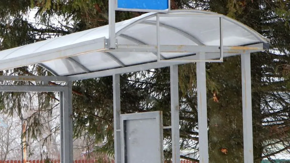 Фото: пресс-служба Администрации г.о. Шаховская