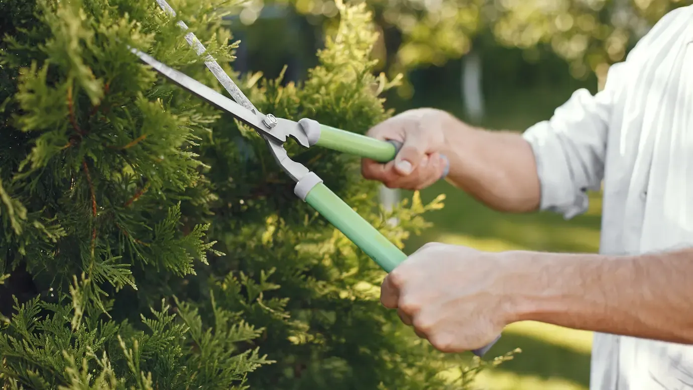 Фото взято с ru.freepik.com