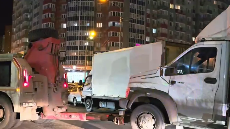 Фото: пресс-служба администрации г.о. Красногорск